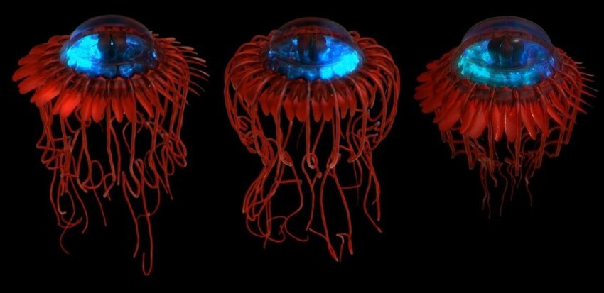 Медузы, которые выглядят как нечто странное и невероятное