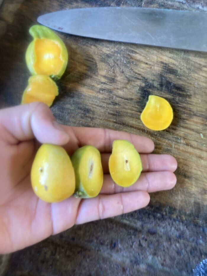 24. "Дожди благословили нас сладкими манго"
