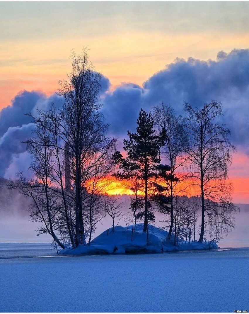 Солянка