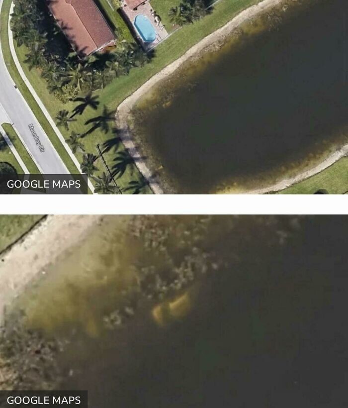 1. 40-летний мужчина пропал после вечеринки. 22 года спустя местный житель заметил на Google Картах машину в озере. Внутри нашли скелет пропавшего мужчины