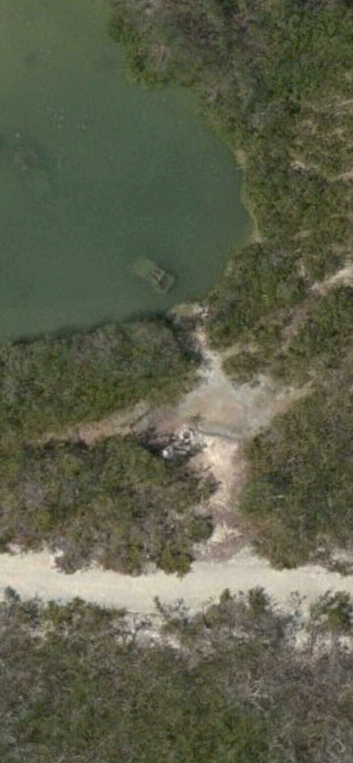 24. "В пруду возле Ки-Уэст, штат Флорида, стоит джип (?)"