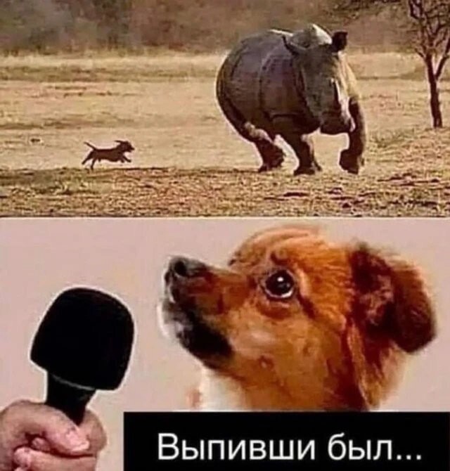 Пост хорошего настроения