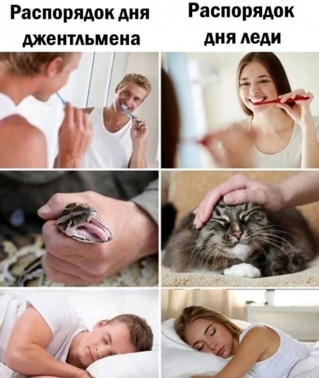 Пост хорошего настроения