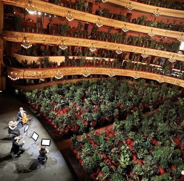 Струнный квартет выступает перед аудиторией из 2292 растений, на открытии барселонского Большого театра Лисеу, 22 июня 2020 года
