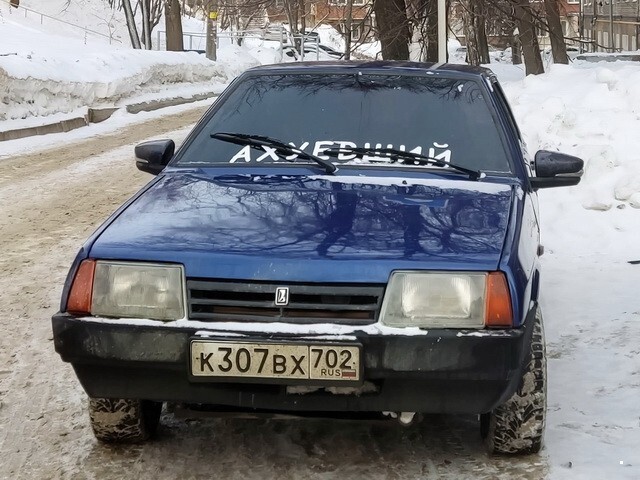 Автовсячина