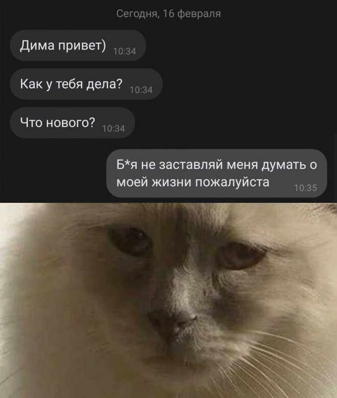 Скрины из соцсетей 