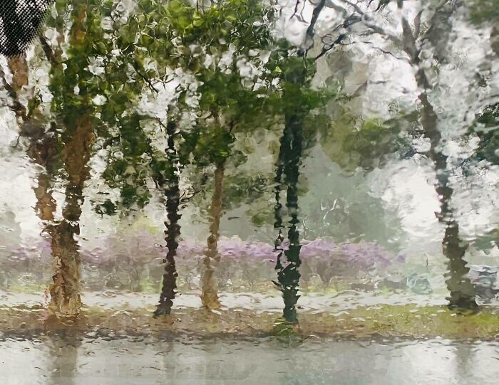 Пейзаж за окном в дождливый день похож на акварель