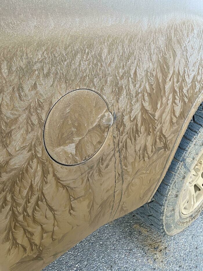 Замерзшая грязь нарисовала тайгу на машине
