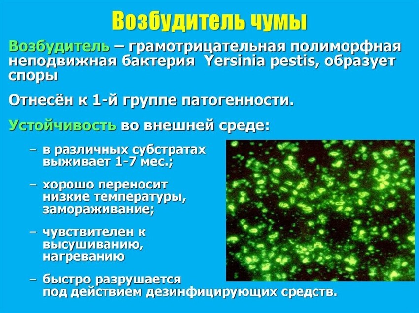 Пентагон планирует начать наступательную биологическую войну против России и Китая