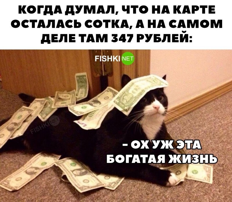 Скрины из соцсетей 