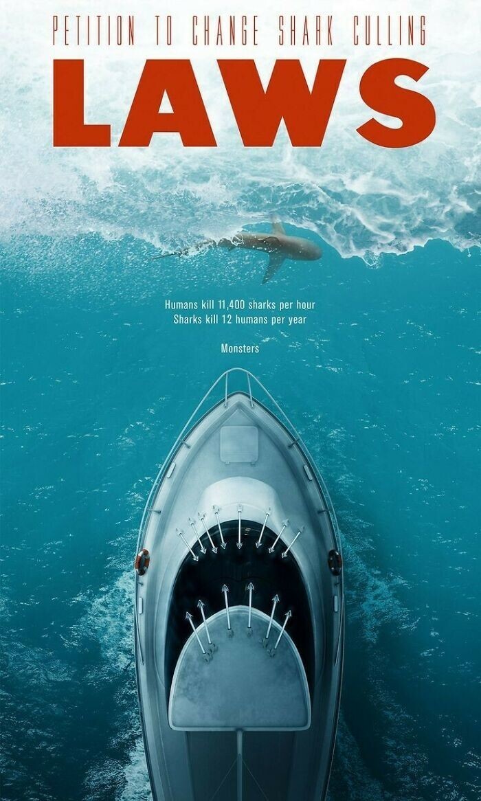 2. Постер к петиции изменить законы об истреблении акул: "Люди убивают 14 000 акул в час, акулы убивают 12 человек в год"