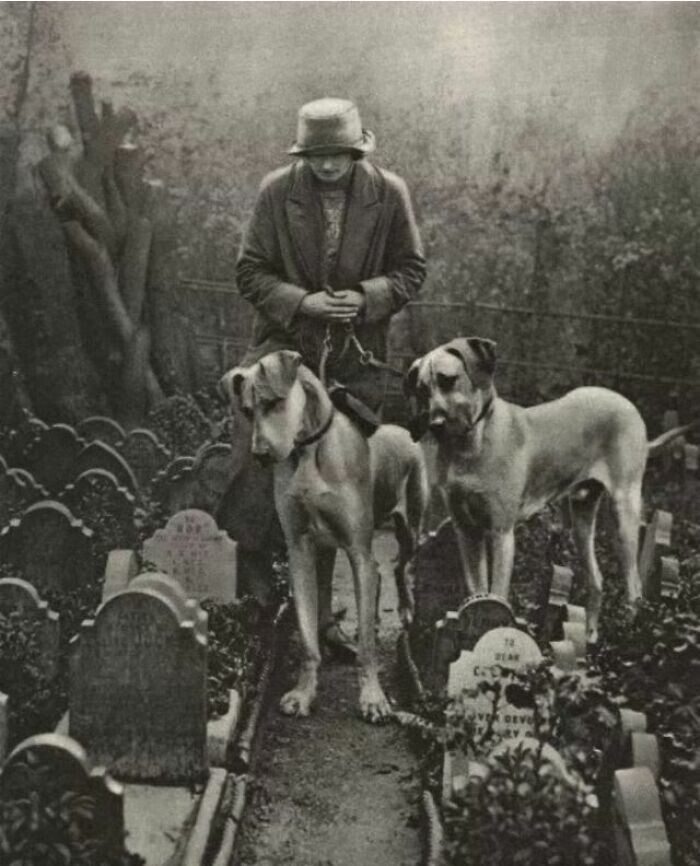 15. Женщина выгуливает собак на собачьем кладбище в Гайд-Парке, где похоронены более 1000 домашних животных викторианской эпохи
