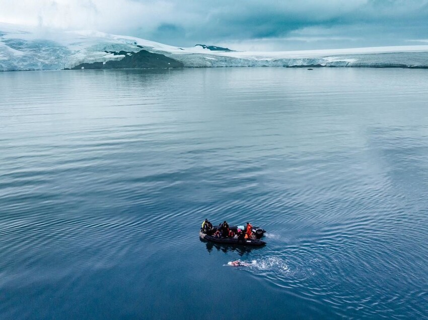 Пловчиха из Чили проплыла 2,5 км в водах Антарктиды