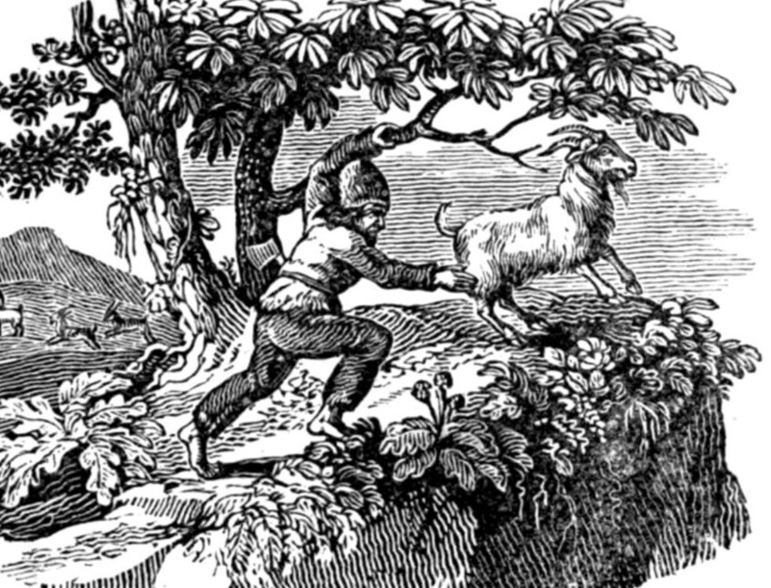 История о том, как дебошира бросили на необитаемом острове, но не учли шотландский характер. 4,5 года среди коз и котов
