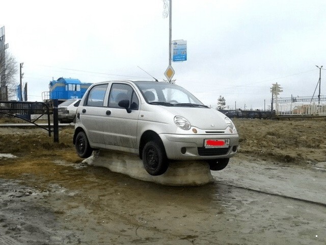 Автовсячина