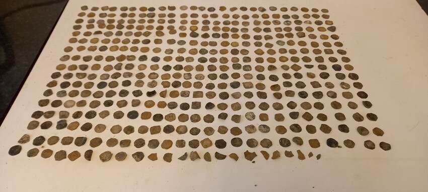 Кладоискатель-любитель нашел древние монеты стоимостью £200 000
