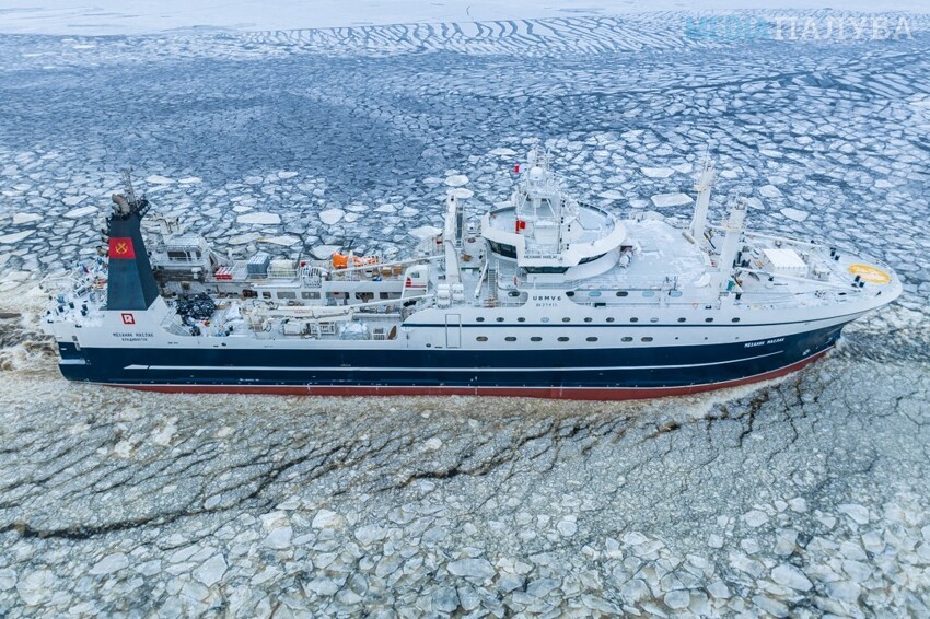 Самый большой в России траулер «Механик Маслак» отправился на промысловые испытания – эффектные кадры судна во льдах