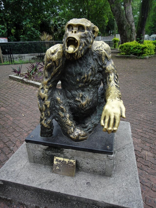 9. Памятник макаке Тиао из зоопарка Рио-де-Жанейро. В 1988 году жители были настолько недовольны местными политиками, что отдали свои голоса обезьяне