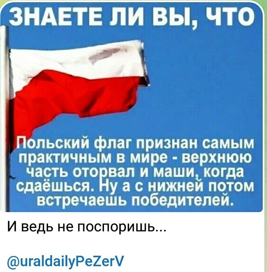 О политике и не только