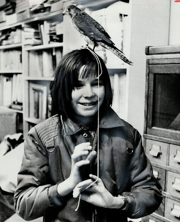 13 февраля 1973 года. Канада. Девочка и европейская пустельга. Фото Pat Brennan.
