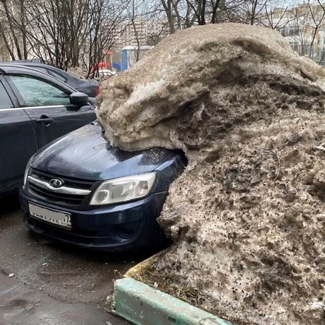 Автовсячина