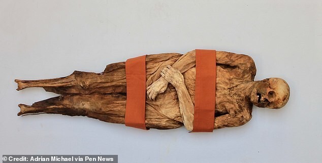 Учёные выяснили, что «базельскую мумию» убил вовсе не сифилис