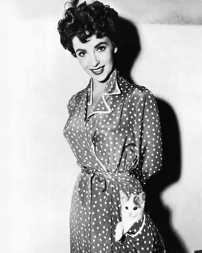 Актриса Элизабет Тейлор с котёнком на съёмках фильма "Девушка, у которой было всё", 1953