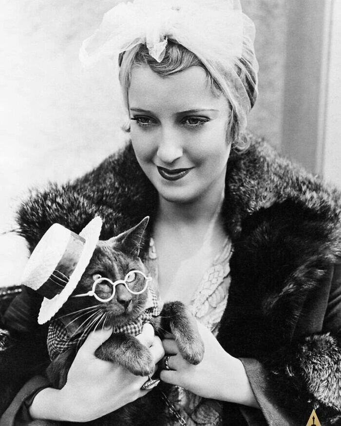 Актриса Джанет Макдональд со своим котом, 1932