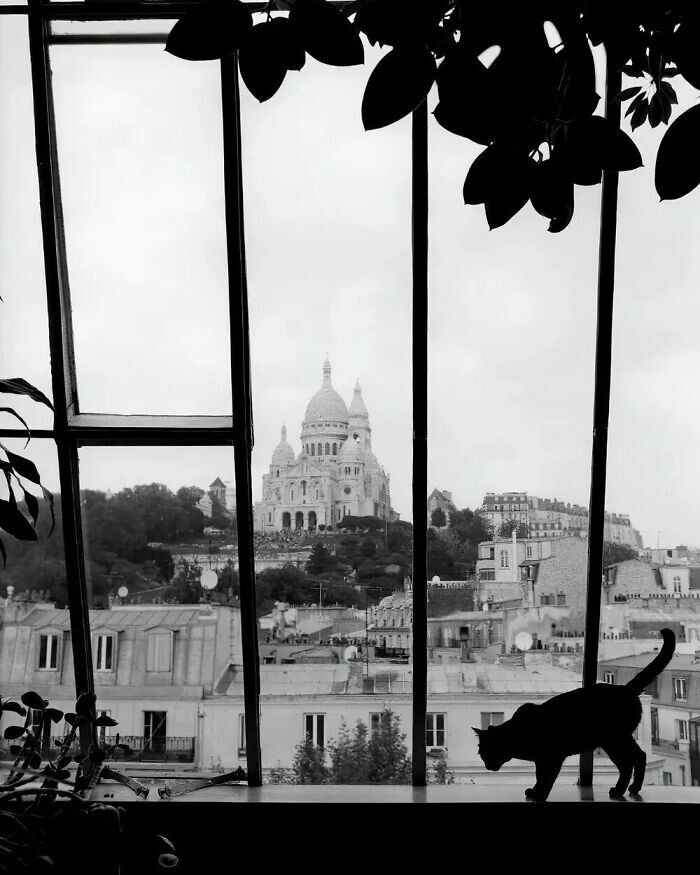 Париж, 1938 год
