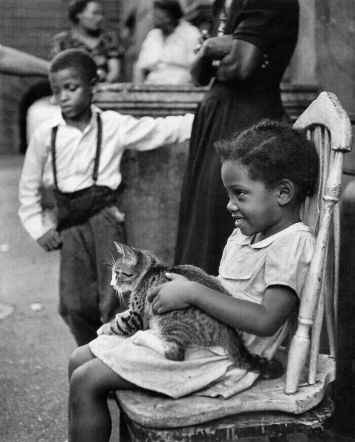 Девочка с котёнком, Нью-Йорк, 1949 год