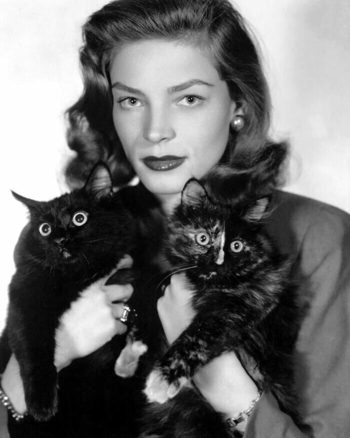 Актриса Лорен Бэколл с двумя кошками, 1940 год