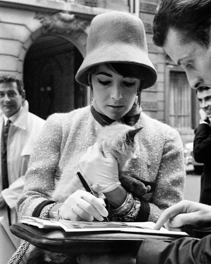 Актриса Элизабет Тейлор даёт автографы фанатам, держа на руках котика, 1961