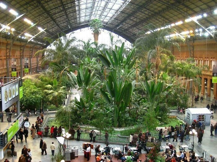 5. Тропический сад Аточа в Мадриде, Испания. Здание когда-то было железнодорожным вокзалом. Теперь в нём растут 7000 растений более чем 260 видов