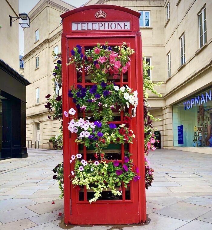 7. Британская телефонная будка, выведенная из эксплуатации, превратилась в цветочную клумбу