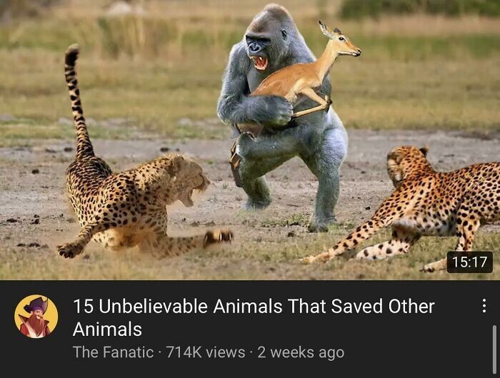 2. "15 невероятных животных, которые спасли других животных"