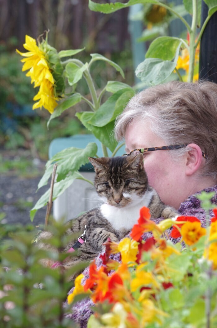Слепую кошку подобрали на улице — и показали ей, что такое любовь