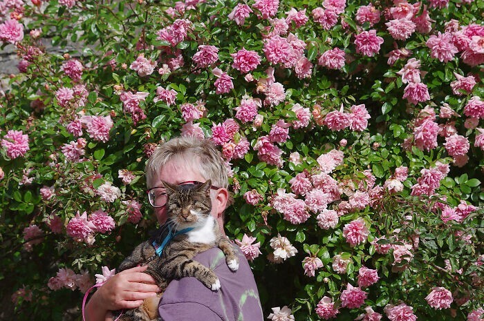 Слепую кошку подобрали на улице — и показали ей, что такое любовь