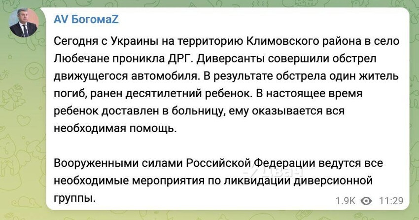 СМИ: в брянское село проникли диверсанты и обстреляли автомобиль