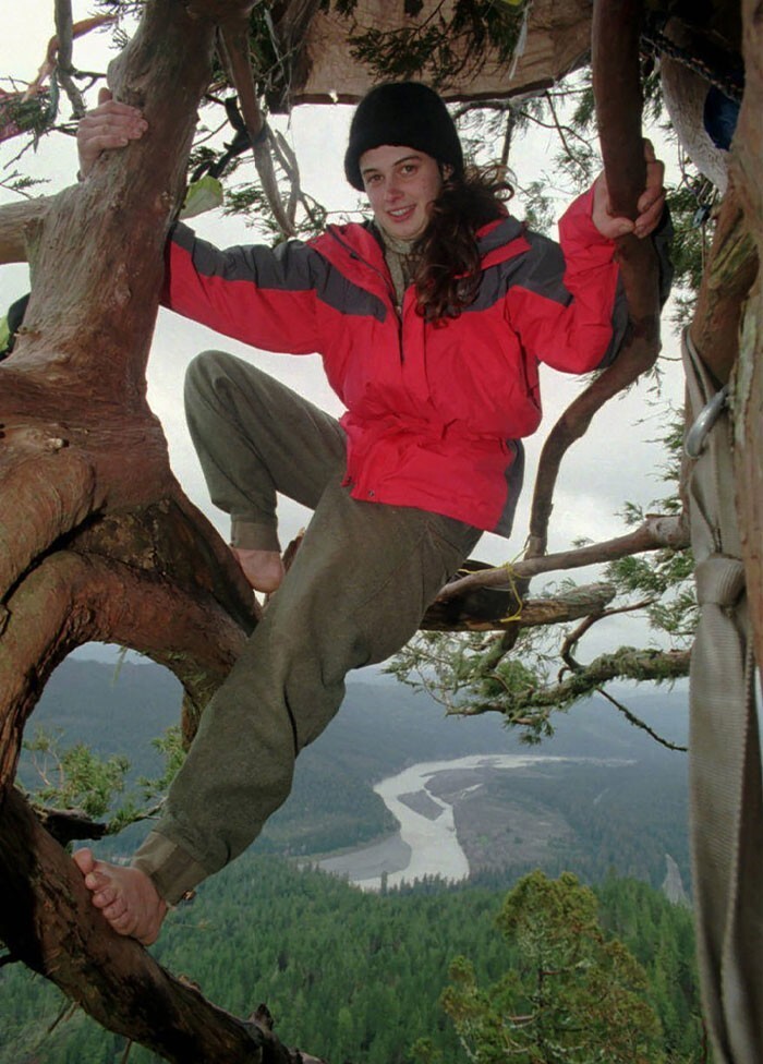 5. Активистка-эколог Джулия «Баттерфляй» Хилл 738 дней прожила на 1500-летней калифорнийской секвойе (получившей имя Луна) на высоте 55 м над землёй