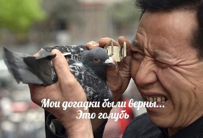 Фотоприколы и&nbsp;прикольные картинки