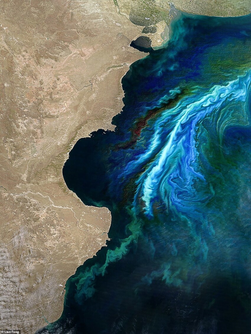 Спутник показал, как водоросли захватывают планету