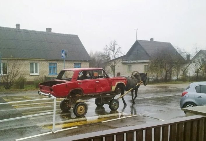 Несколько деревенских фото, которые поднимут настроение