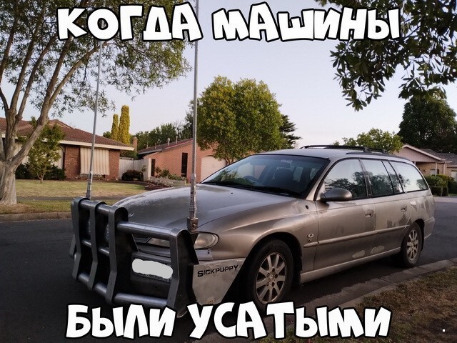 Автовсячина