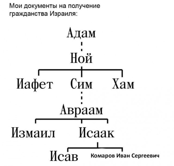 Фотоприколы и прикольные картинки