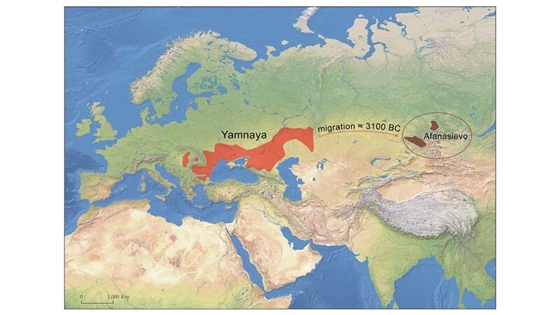 Первые в мире всадники пронеслись по Европе примерно 5000 лет назад