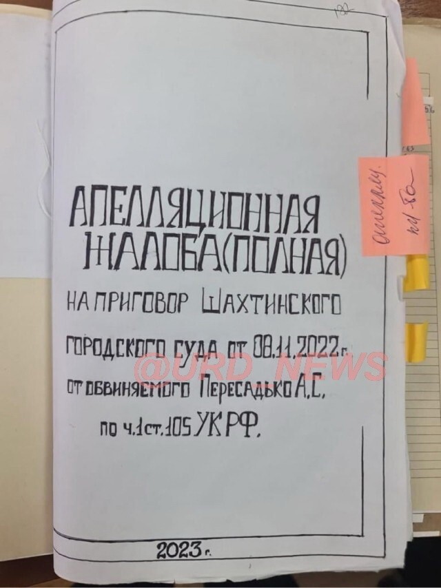 В Ростове заключенный подал апелляционную жалобу в виде комикса