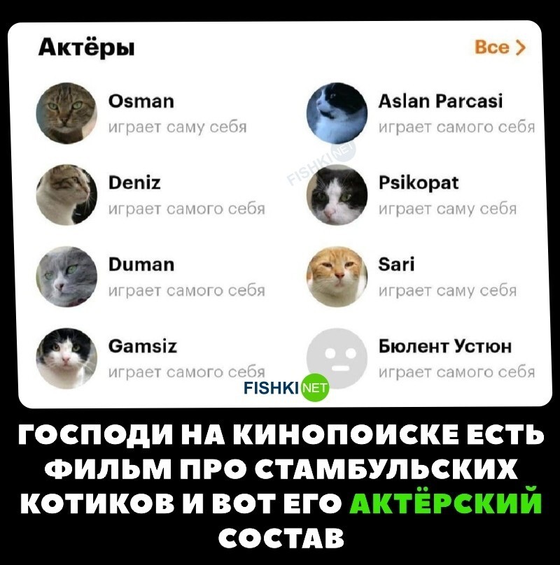 Фильм про котиков