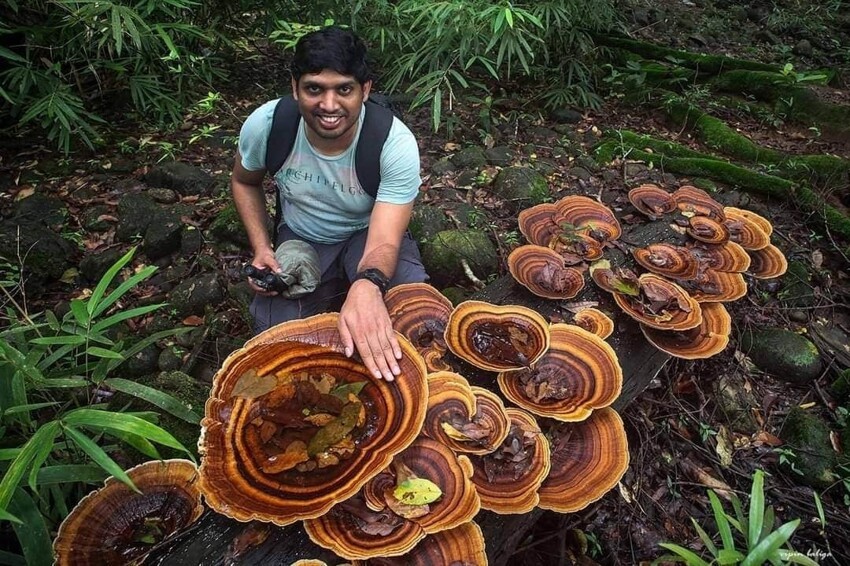19 случаев, когда люди отправились в лес и наткнулись на настоящий грибной клад
