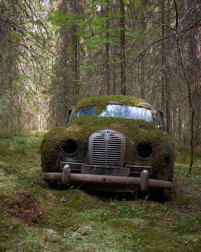 Заросший мхом автомобиль в финском лесу