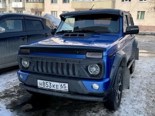 Автовсячина